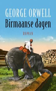 Birmaanse dagen.jpg