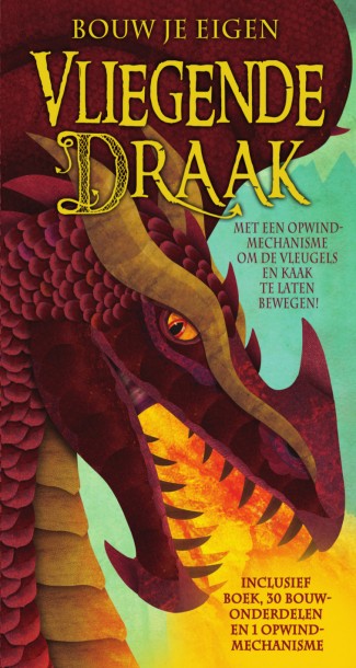 Bouw je eigen vliegende draak.jpeg