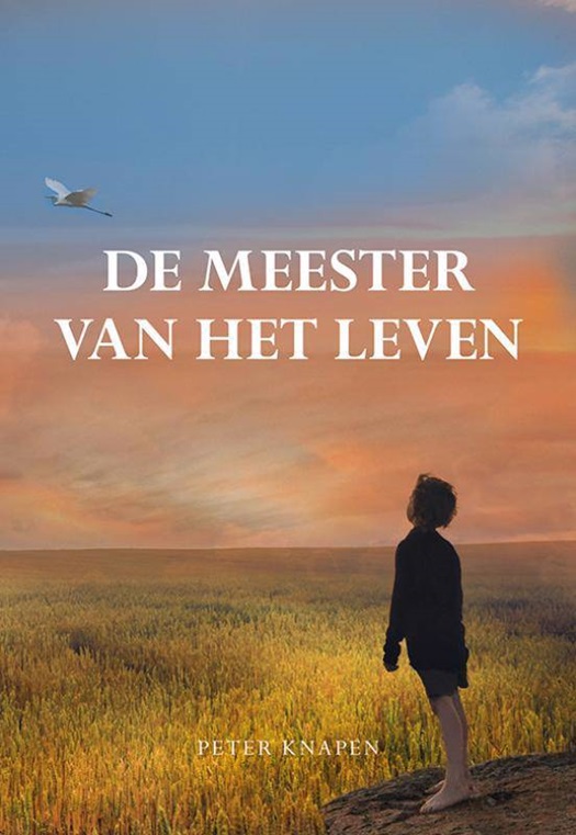 De meester van het leven.jpg