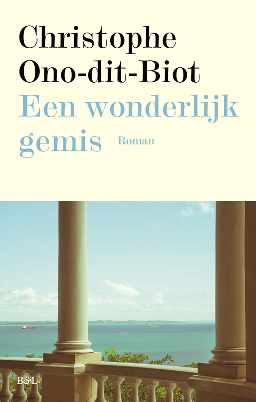 Een wonderlijk gemis.jpg