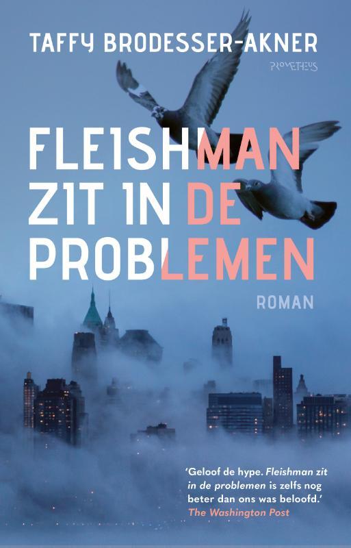 Fleishman zit in de problemen .jpg