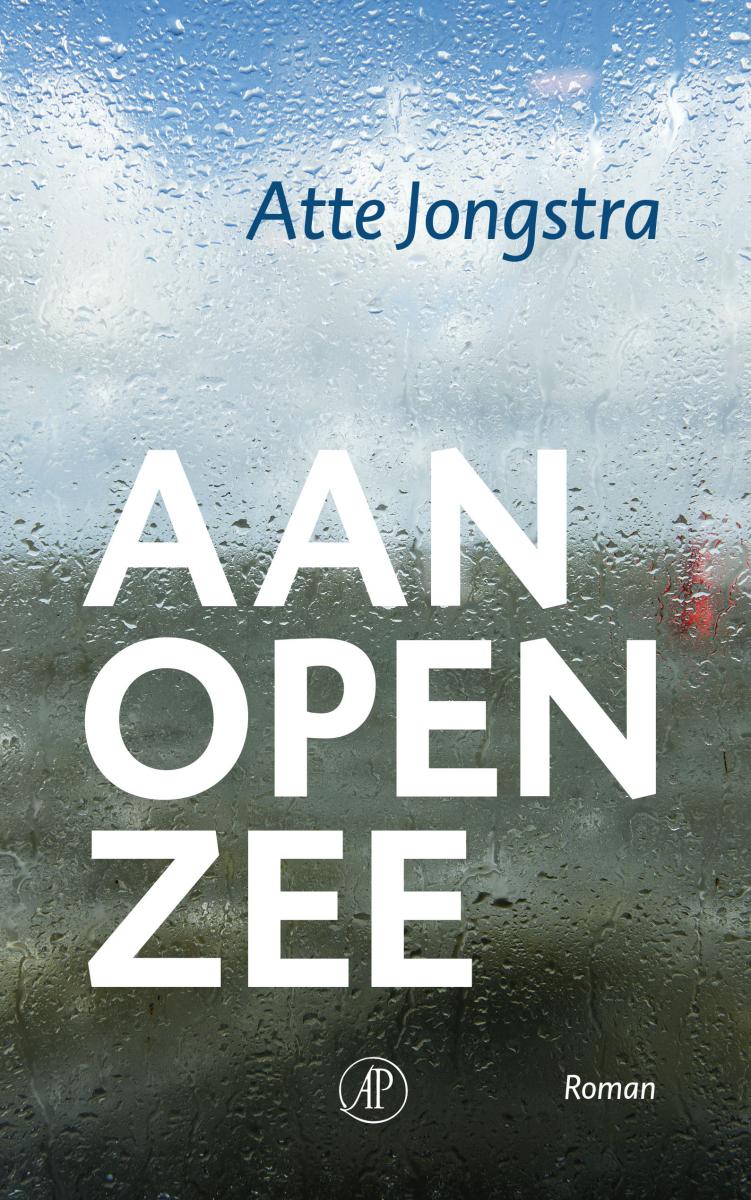 aan open zee.jpg