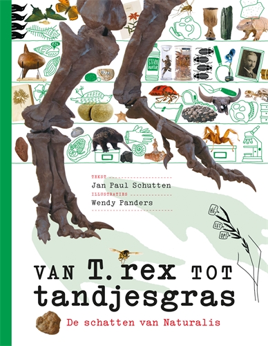 Van T. rex tot tandjesgras .jpg