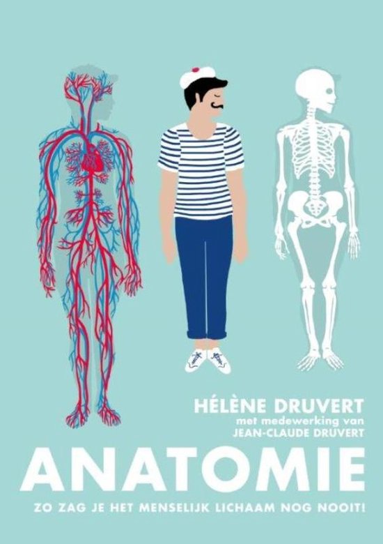 anatomie.jpg