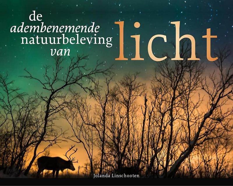 licht_0.jpg