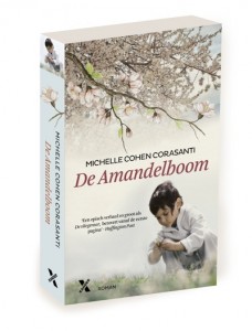 De Amandelboom.jpg