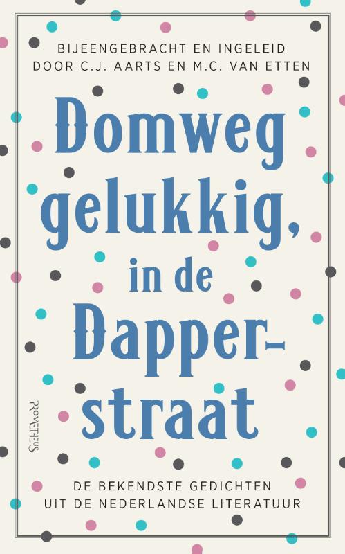 Domweg gelukkig, in de Dapperstraat .jpg