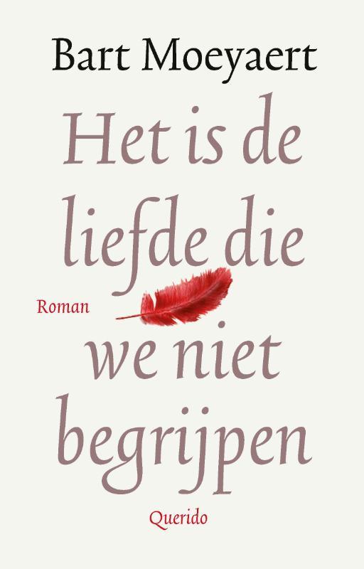 Het is de liefde die we niet begrijpen .jpg
