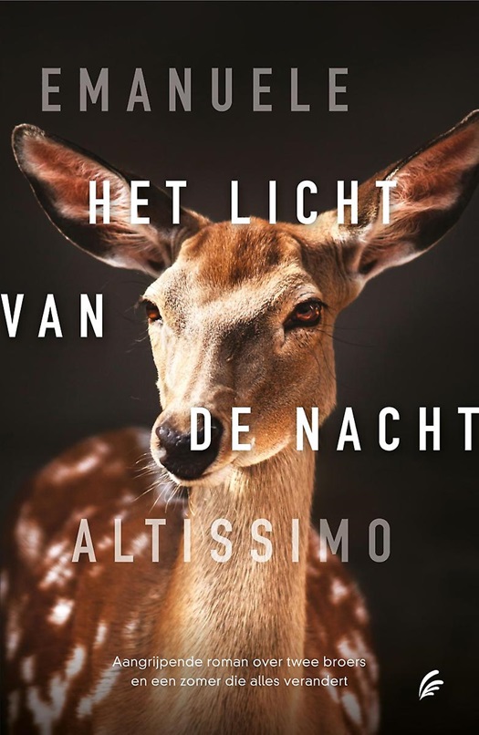 Het licht van de nacht .jpg