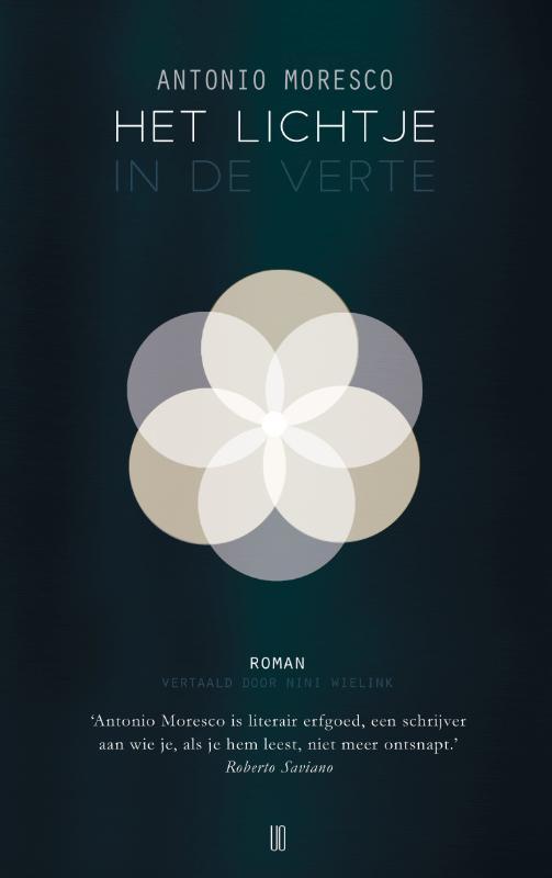Het lichtje in de verte.jpg