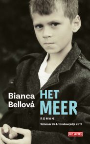 Het meer.jpg