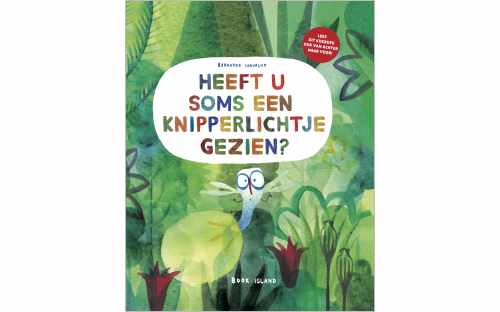 heeft u soms een knipperlicht gezien.jpeg
